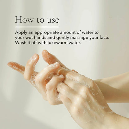 Beauty of Joseon Refreshing Cleanser (Original)